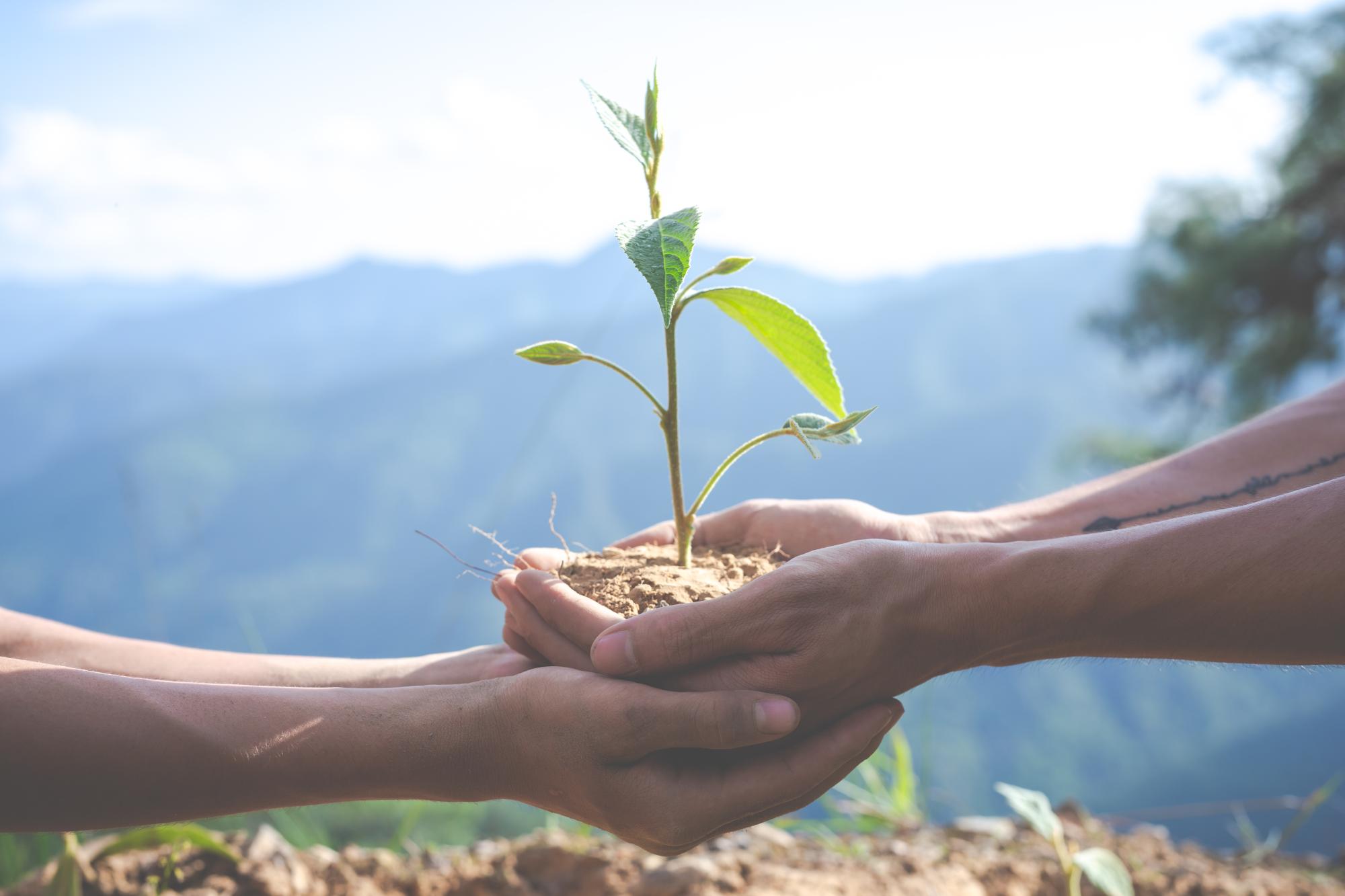 infogérance Fréjus développement durable 